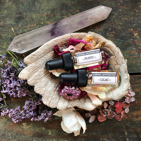 Pocket Plants // Flower Essence Singles