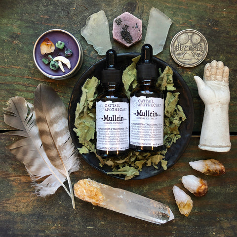 Mullein // Respiratory System Tonic