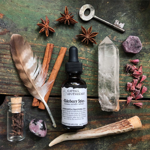 Elderberry Spice // Immune Support