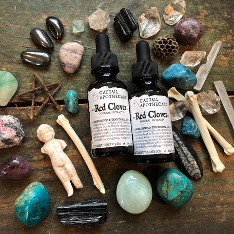 Red Clover // Menopause & Menstruation Support
