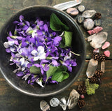 Violet // Calming Anti-Inflammatory Elixir