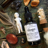 Ginger // Support for Nausea, Motion Sickness & Cramps